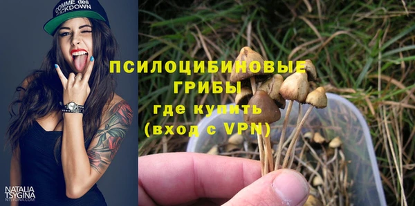 гидропоника Абдулино