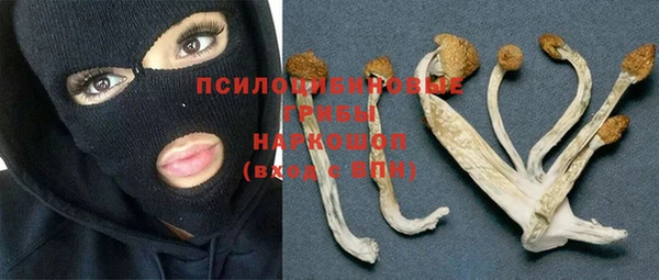 альфа пвп Приозерск