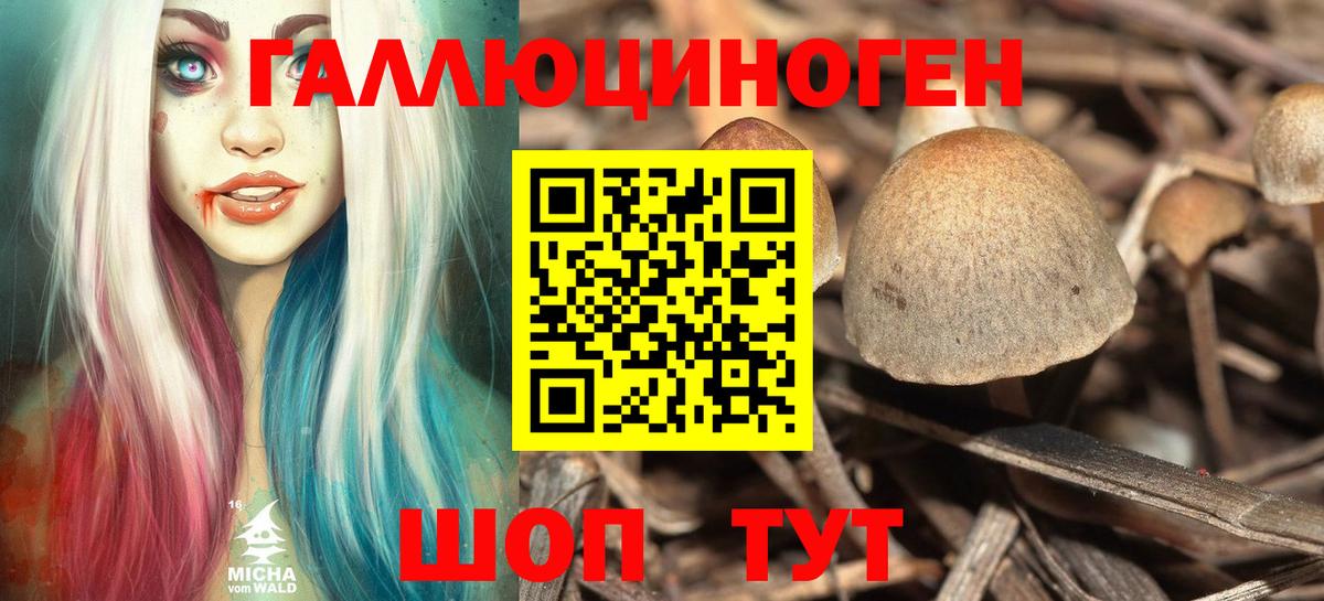Меф   Каннабис  COCAIN  ГАШ  Ливны  Вход с VPN 