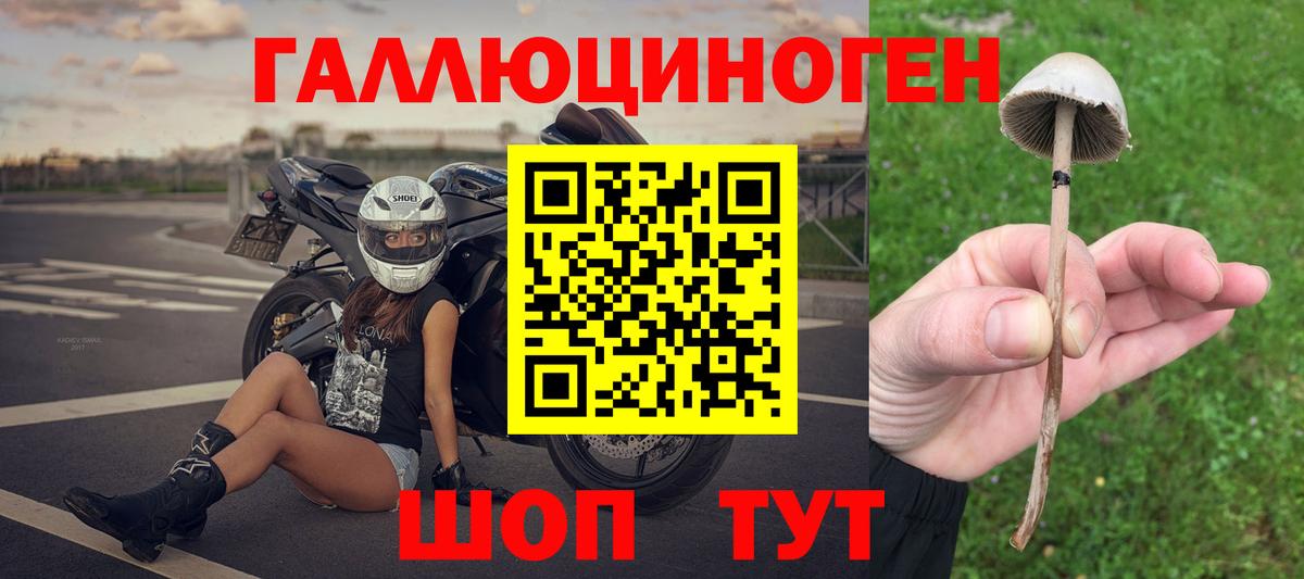 Псилоцибиновые грибы Cubensis Ливны